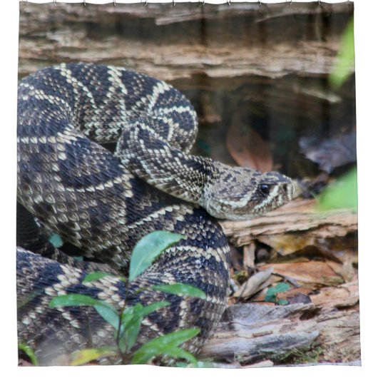 Rattlesnake In The Wild シャワーカーテン (正面)