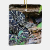 Rattlesnake In The Wild セラミックオーナメント (右)