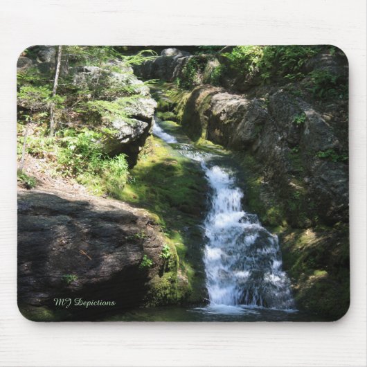 Rattlesnake Pool Mouse Pad マウスパッド (正面)