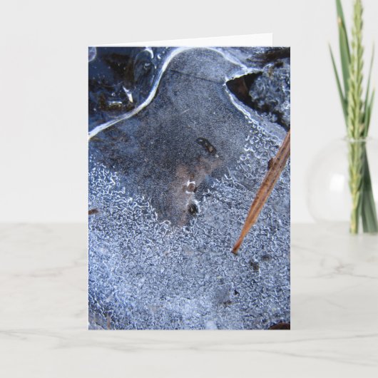 Ravenは正しく見える、黒い自然のコービデの物語 カード (正面)