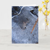 Ravenは正しく見える、黒い自然のコービデの物語 カード (黄色い花)