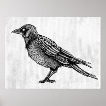 Ravenゴシック黒白ホラーインクスケッチ