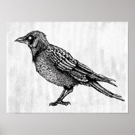 Ravenゴシック黒白ホラーインクスケッチ ポスター