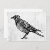 Ravenゴシック黒白ホラーインクスケッチ ポストカード (正面/裏面)