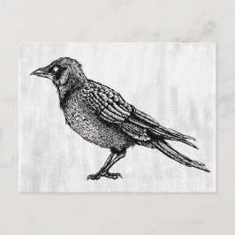 Ravenゴシック黒白ホラーインクスケッチ ポストカード