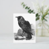 Ravenポストカード ポストカード (スタンド正面)