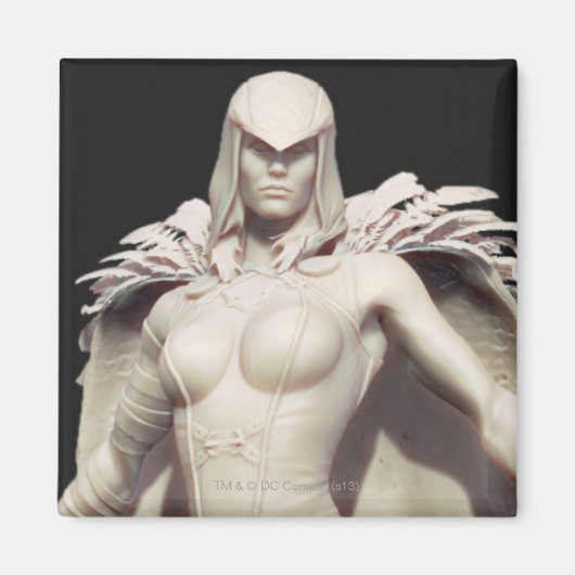 Raven代替 マグネット (正面)