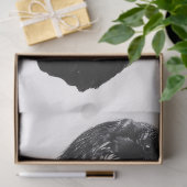 Raven白黒デコページ 薄葉紙 (ギフト)