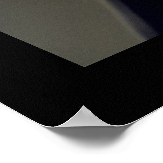 Raven 素朴 - Natures Guardian ポスター (角)