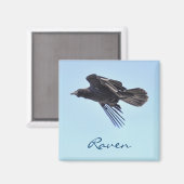 Raven 飛んでいる in Blue Sky HDRフォトデザイン マグネット (正面/裏面)