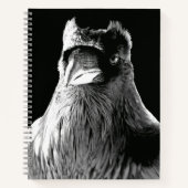 Raven Art Notebook Crow Art Journal Book ノートブック (正面)