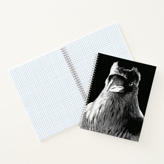 Raven Art Notebook Crow Art Journal Book ノートブック (内部)