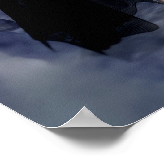 Raven of the Night Poster/Canvas Print ポスター (角)