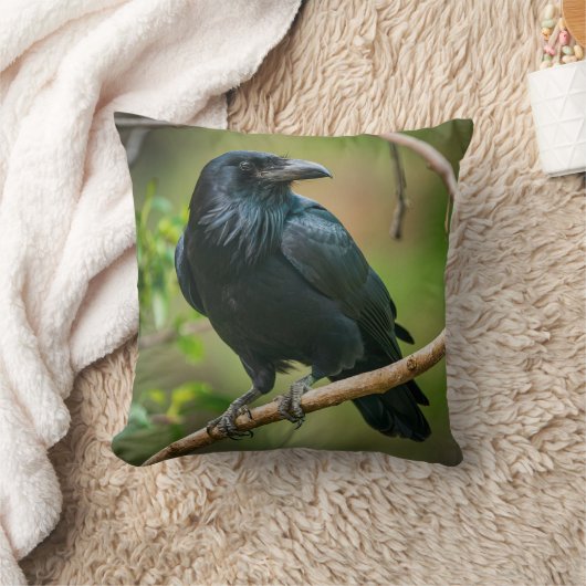 Raven on a Tree Branch クッション (ブランケット)