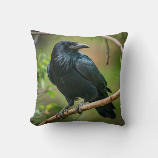 Raven on a Tree Branch クッション (正面)