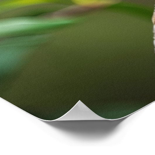 Raven on a Tree Branch ポスター (角)