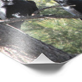 Raven Pair in the Mountain フォトプリント (角)