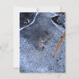 Raven Totem, Black Bird Corvid  ポストカード