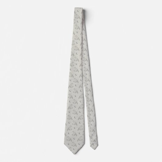 Raven Whimsigoth Necktie - Minimalist Goth ネクタイ (正面)