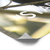 Raven Wildlifeおもしろい写真ポスター ポスター (角)