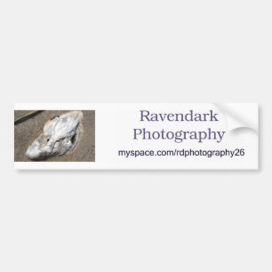 Ravendarkの写真撮影 バンパーステッカー