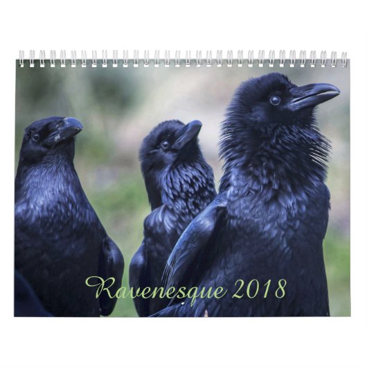 Ravenesqueの魔法の鳥2018 18か月のカレンダー カレンダー (カバー)