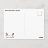 Raven's Roost Pub Wick Scotland ポストカード (裏面)