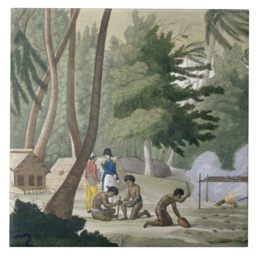 Rawakの島のPapuの種族は、「Leからの20をめっきします タイル (正面)