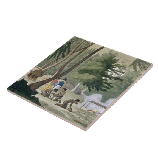 Rawakの島のPapuの種族は、「Leからの20をめっきします タイル (側面)