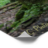 Ray of Hope 36 x 24ポスター ポスター (角)