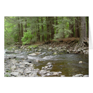 Raymondskillの上部の滝