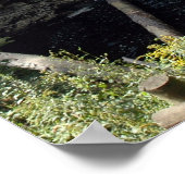 Raymondskill秋のポコノスプリント0283-1 ポスター (角)