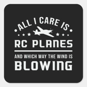 RC飛行機飛行機パイロットすべて気にIはRC飛行機 スクエアシール
