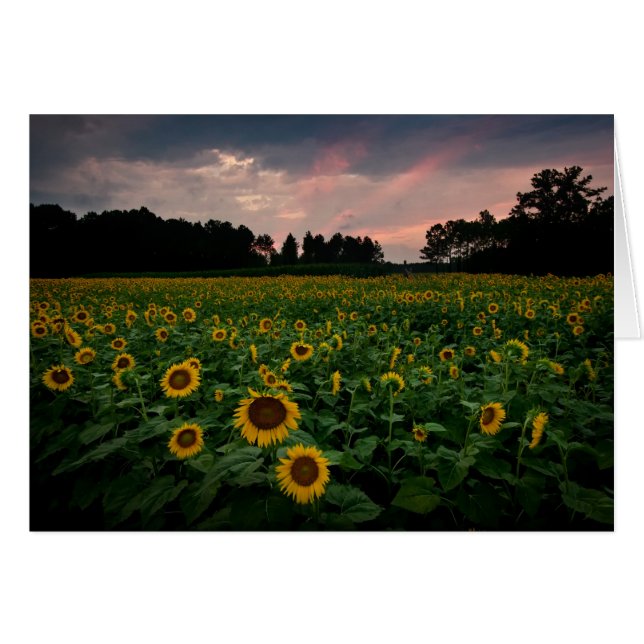 RCD_6002_3_4 (正面横)