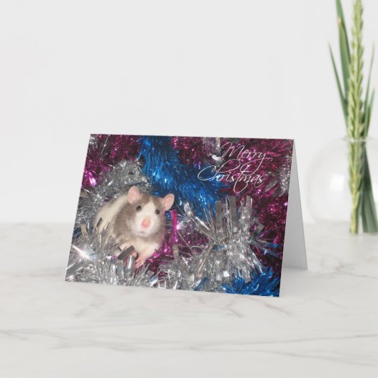 RCTスージーのクリスマスカード シーズンカード (正面)