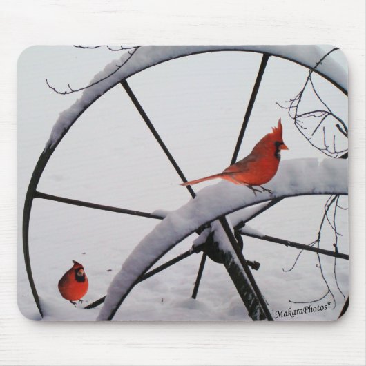 rdbds-olwhlsplc-z マウスパッド (正面)