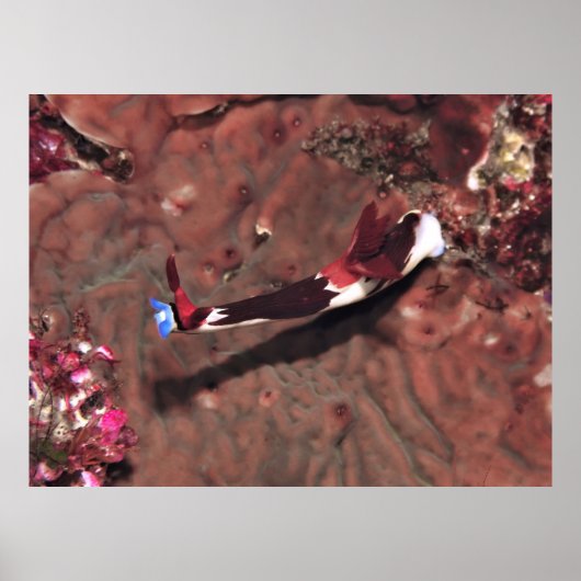 Reaching ポスター (正面)