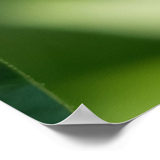 Ready to Bloom ポスター (角)