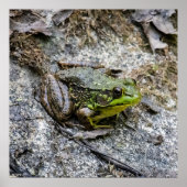 Ready to Go ポスター (正面)