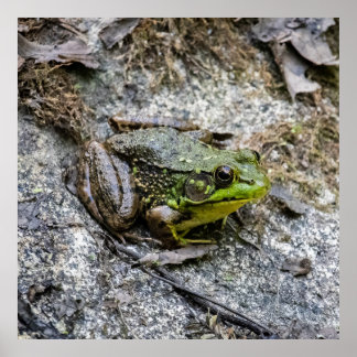 Ready to Go ポスター