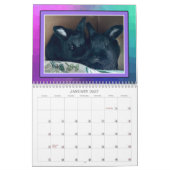 REAL BUNIES 2026 カレンダー (1月 2027)