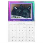 REAL BUNIES 2026 カレンダー (1月 2026)