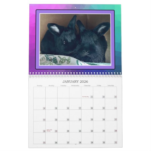 REAL BUNIES 2026 カレンダー (1月 2026)