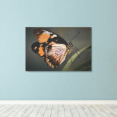 real butterfly wall art, butterfly, butterfly キャンバスプリント (インサイチュ (ウッドフロア))