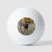 Real Custom Photo Gift For Golfers Titleist Pro V1 ゴルフボール (正面)