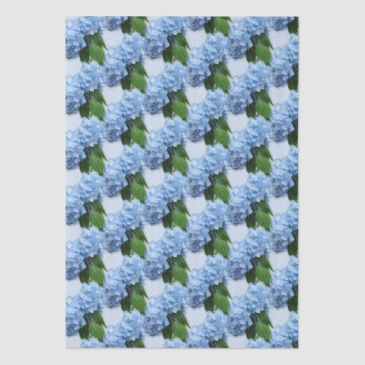 Real Hydrangea Flowers 薄葉紙 (正面)