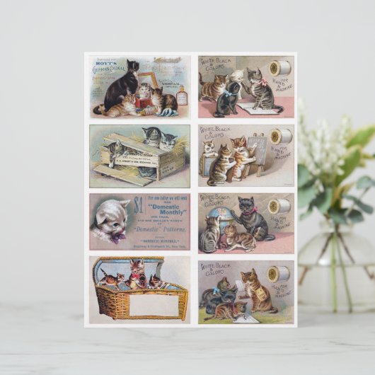 Real (not AI) Helena Maguire Inspired Trade Cards (スタンド正面)