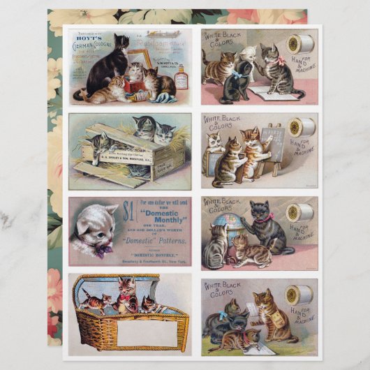 Real (not AI) Helena Maguire Inspired Trade Cards (正面/裏面)