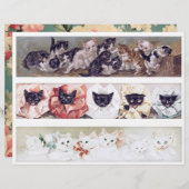 Real (not AI) Long Victorian Era Cat Illustrations (正面/裏面)