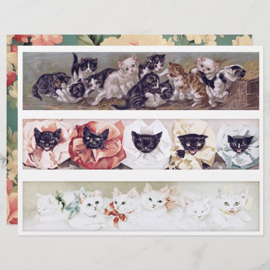 Real (not AI) Long Victorian Era Cat Illustrations (正面/裏面)